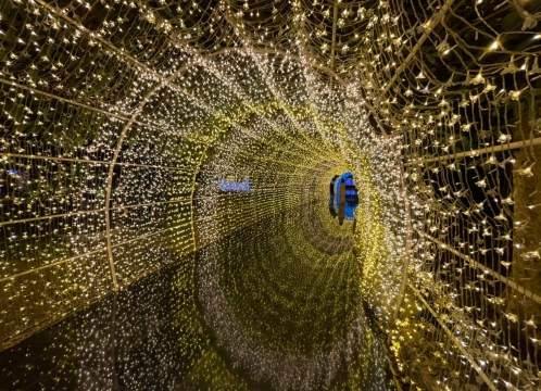 イルミネーション